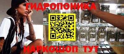 меф Лесосибирск