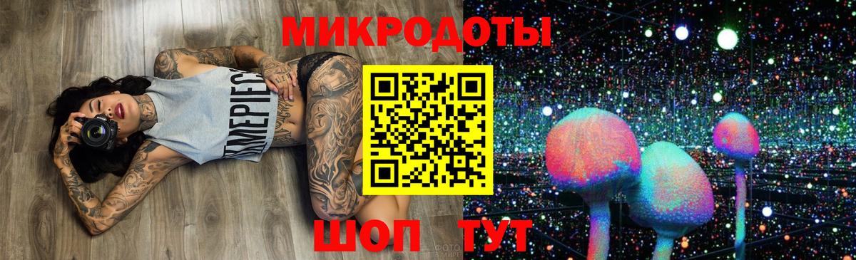 Электрогорск  Псилоцибиновые грибы Psilocybe  Вход с VPN 